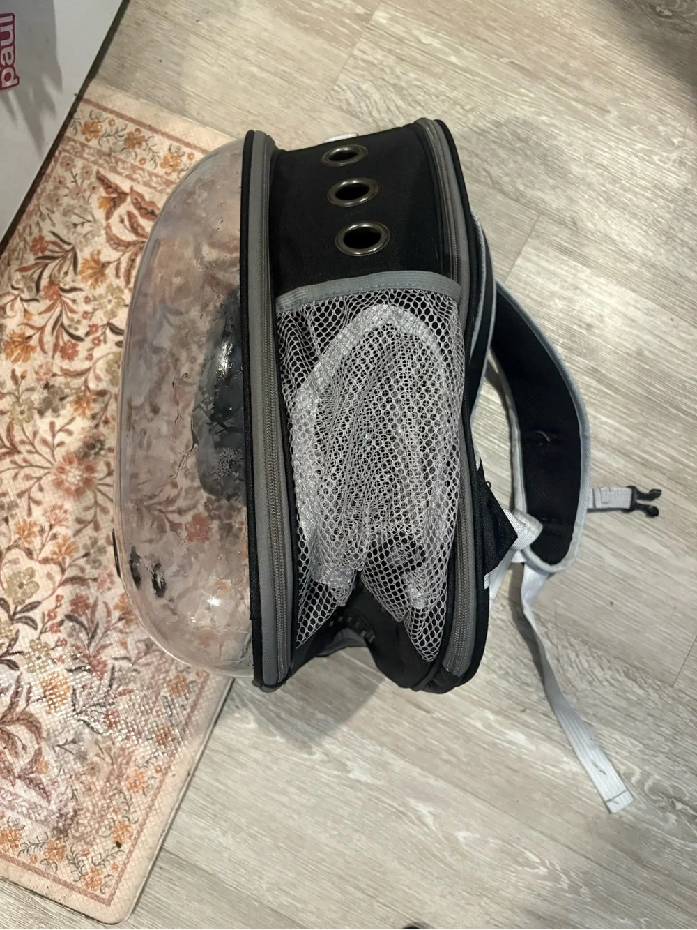 Clear back pack pet carrier